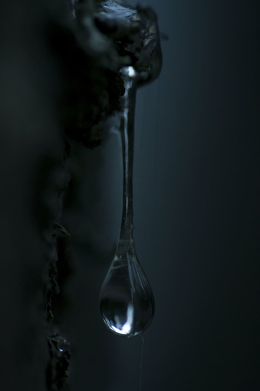 drop, resin, secretion, six, dark, twilight, tree, studio shot HD wallpaper