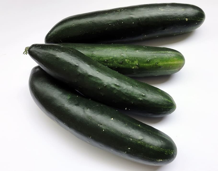 plant, nature, live, vegetable, green color, studio shot, food and drink HD wallpaper