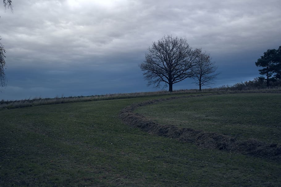 tree, storm, clouds, cloud - sky, land, tranquil scene, tranquility HD wallpaper