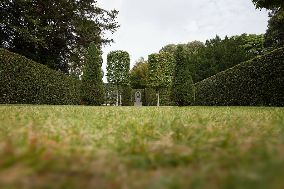 worm's eye view photography of garden, park, hedge, trees, trimmed HD wallpaper