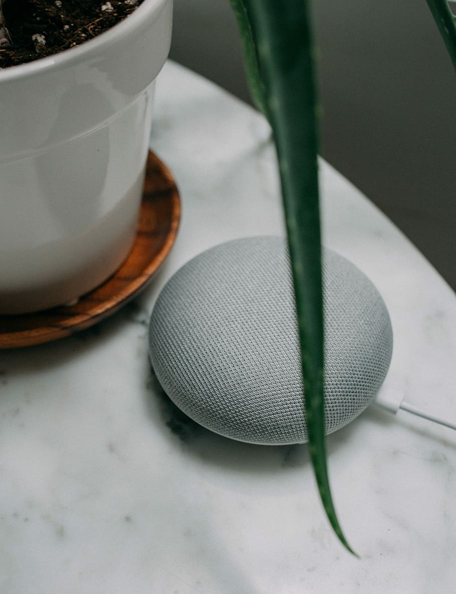chalk Google Home Mini speaker near plant pot on white surface, chalk Google Home Mini smart speaker on white table