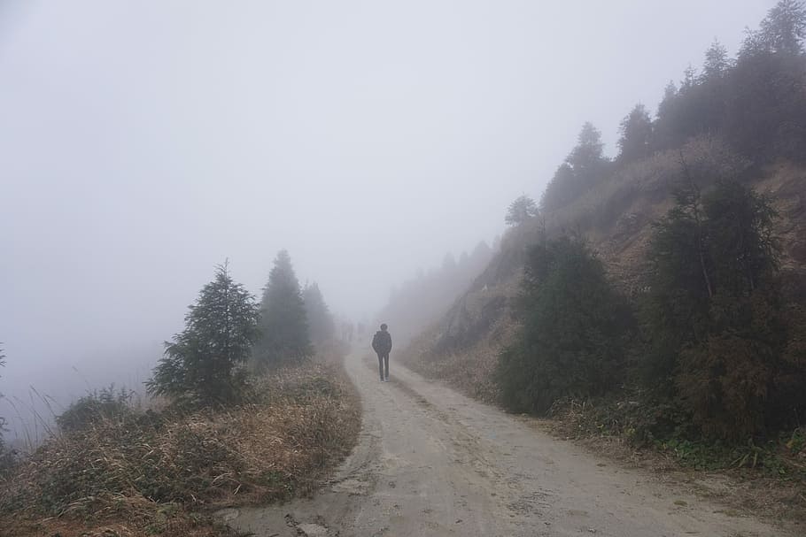 silhouette of man walking on road near trees on mountain surrounded by fogs