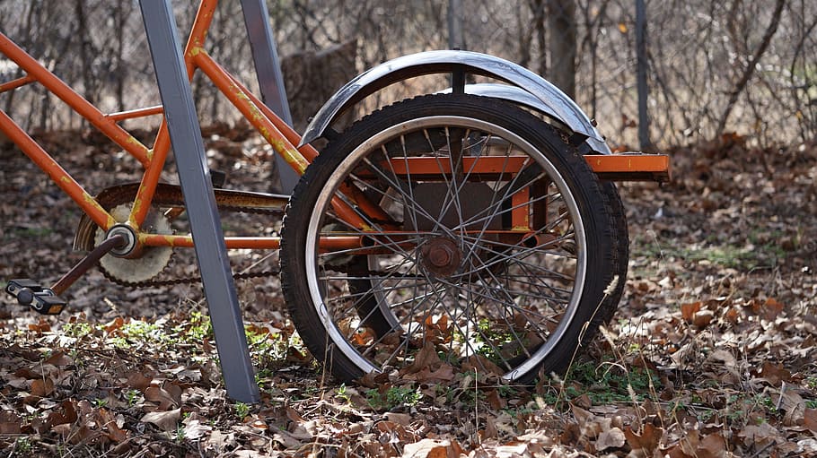 Bicycle, Wheel, Old, Tourism, Tire, teeth, old bike, old wheel HD wallpaper