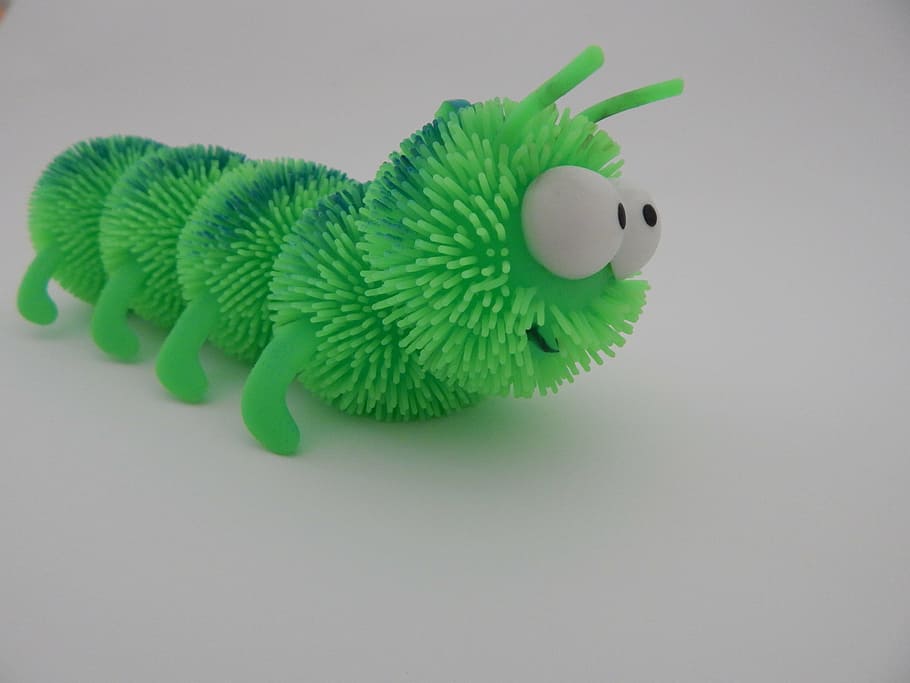 crawling bug toy