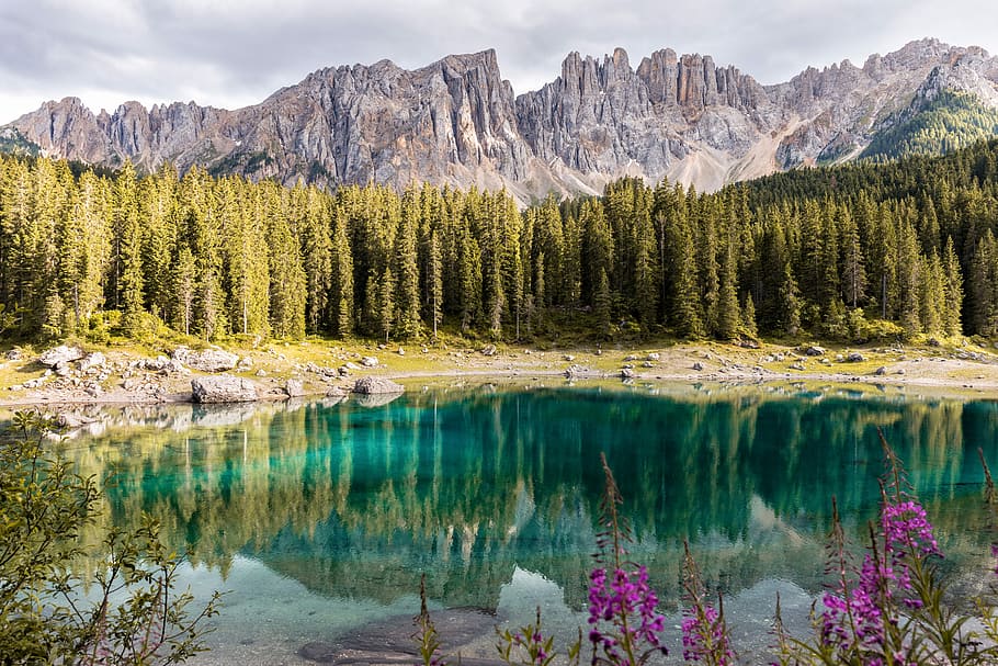 mirror photography of mountain and trees near body of water, calm body of water surrounded by green pine trees HD wallpaper