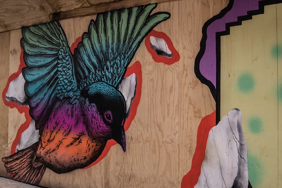 Blue Purple and Orange Bird Painted on Brown Wooden Panel, art HD wallpaper