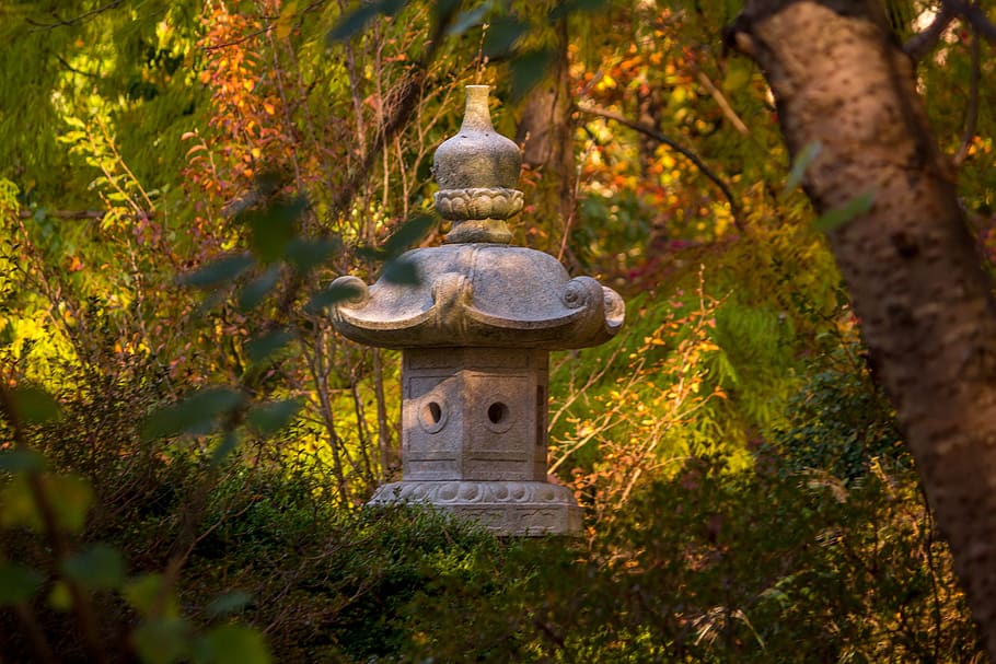 japan, stone, lanterns, plant, tree, religion, belief, spirituality HD wallpaper