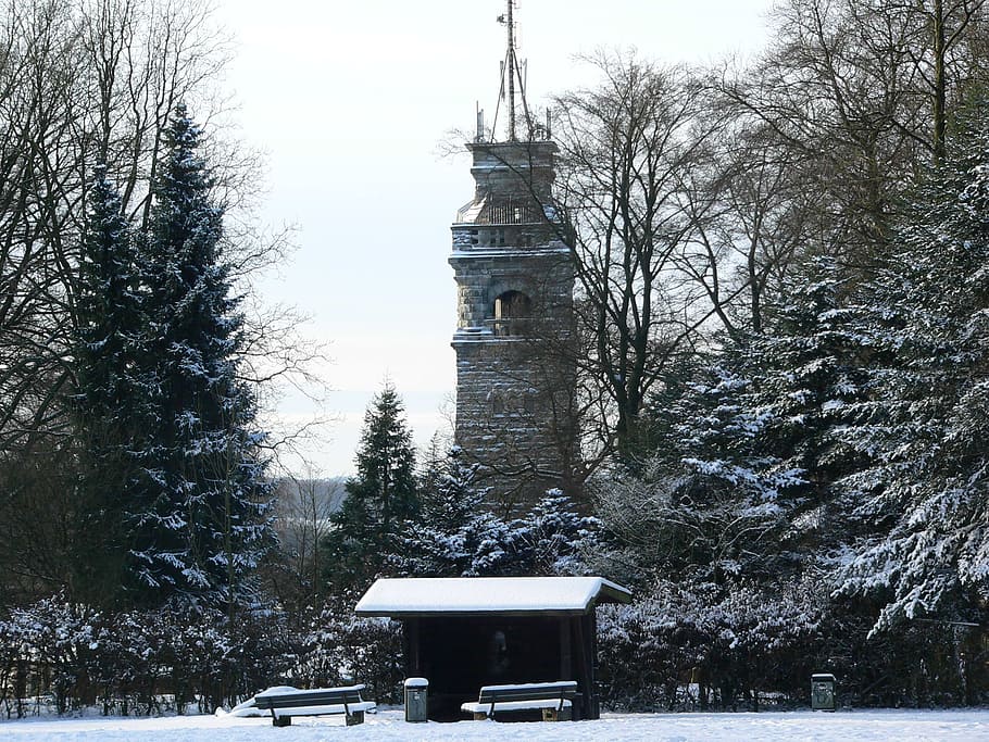 winter forest, snow, wintry, cold, winter magic, bismarckturm HD wallpaper
