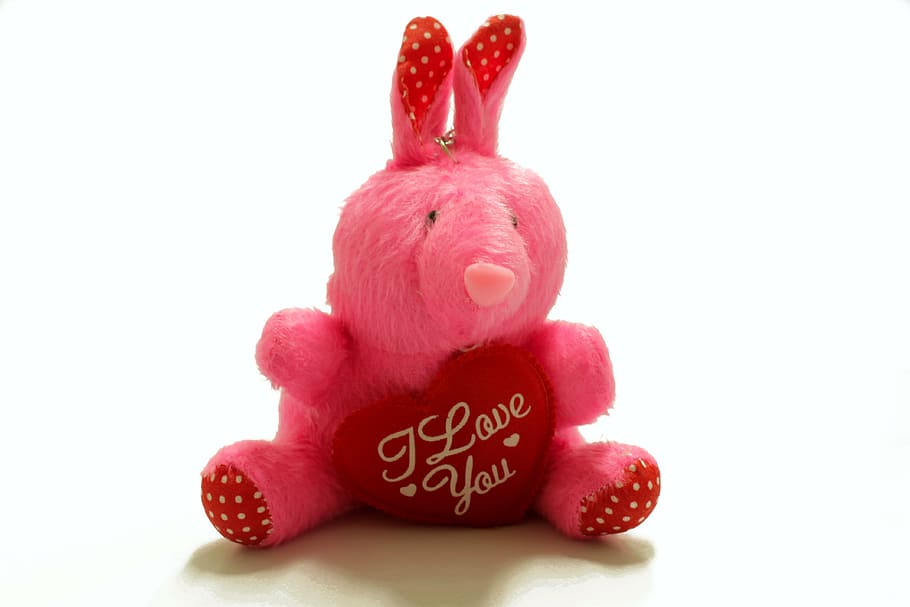 valentine's day, memory, present, plush, stuffed animal, love HD wallpaper