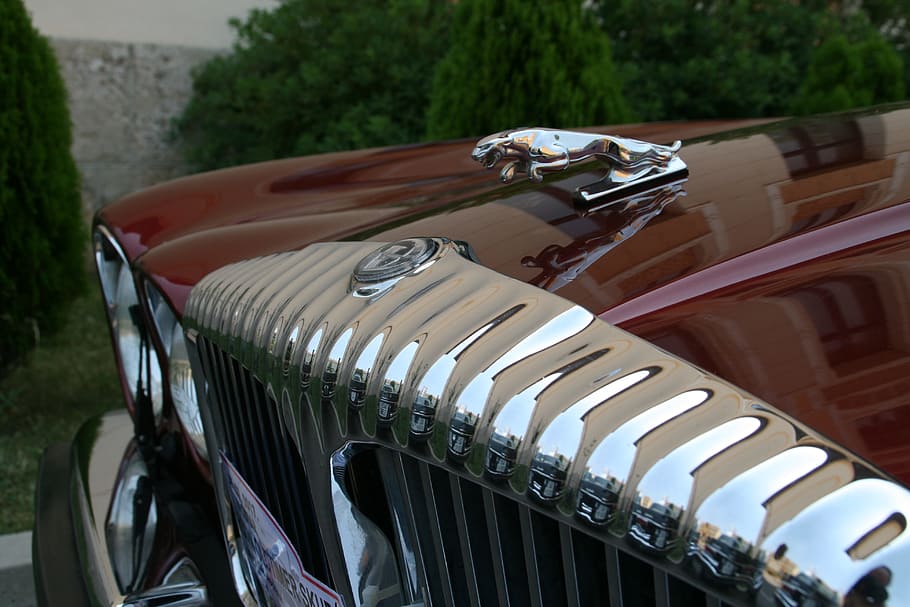 jaguar, details, design, mode of transportation, land vehicle HD wallpaper