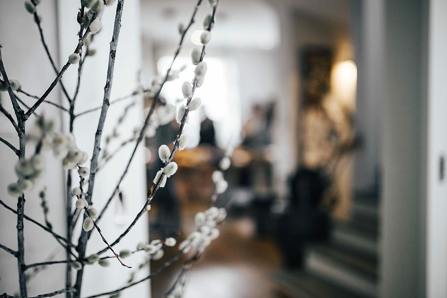 Contemporary interior with catkins, apartment, architecture, winter HD wallpaper