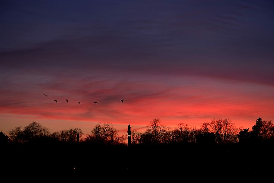 sunset, dawn, nature, sky, dusk, evening, landscape, panoramic HD wallpaper