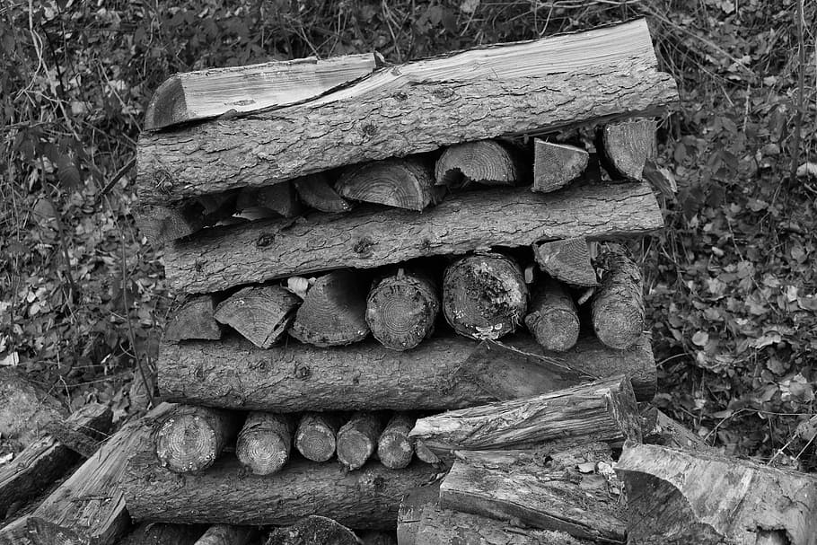 Wood, Nature, Forest, stack, no people, wood - material, day HD wallpaper