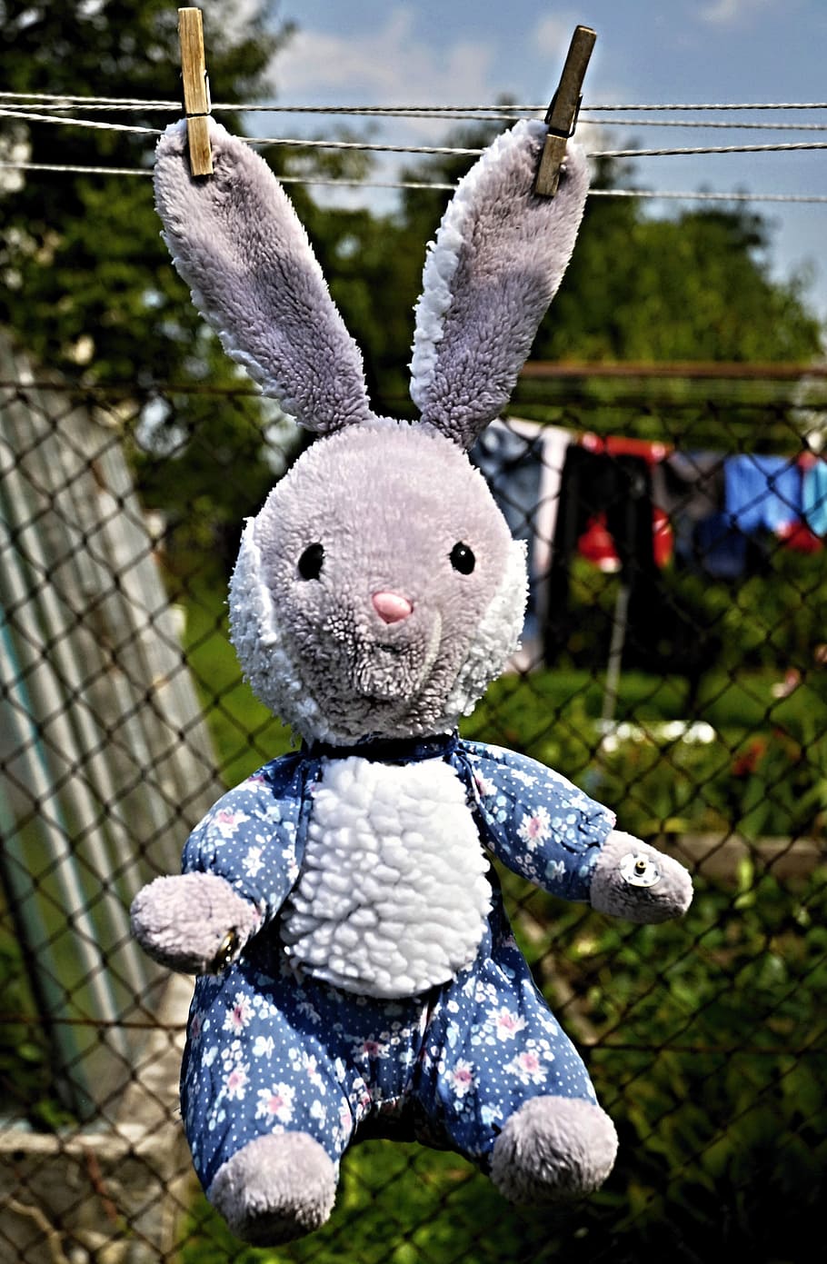 rabbit, toy, hanging, ears, puppy, on the line, drying, washed HD wallpaper