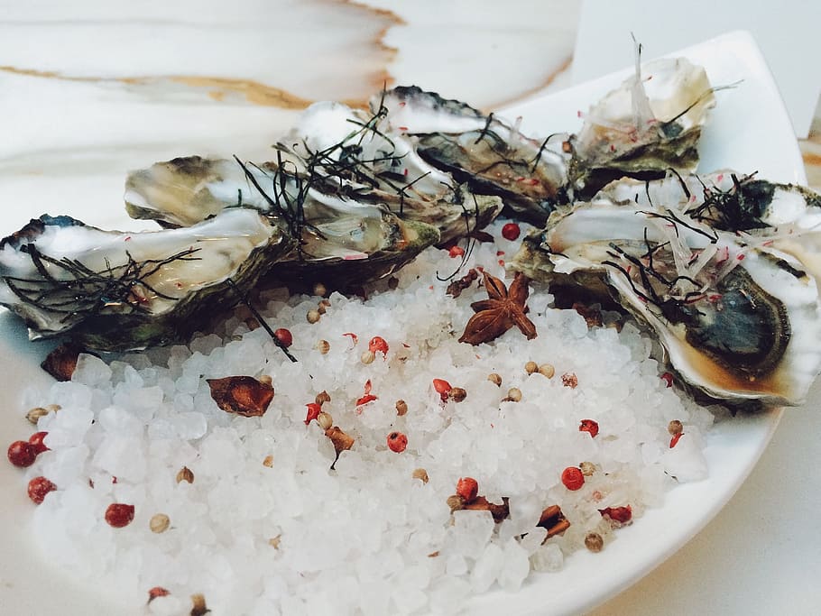 oyster food on plate, oysters, seafood, shells, ice, food and drink HD wallpaper