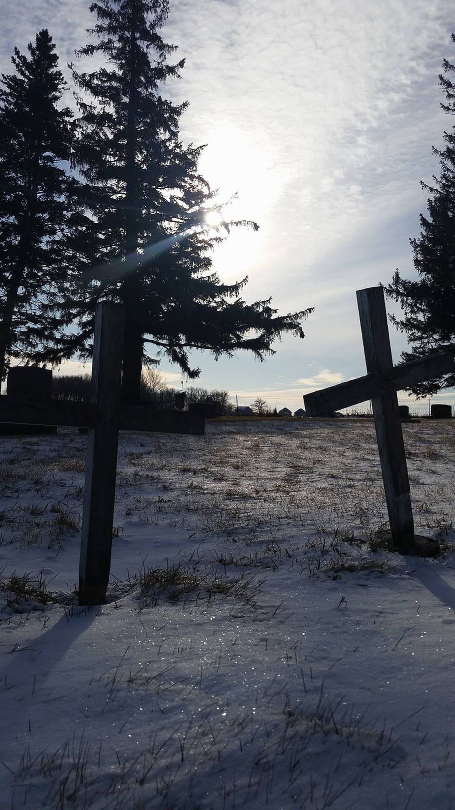 crosses, snow, graves, plant, land, tree, wood - material, tranquil scene HD wallpaper