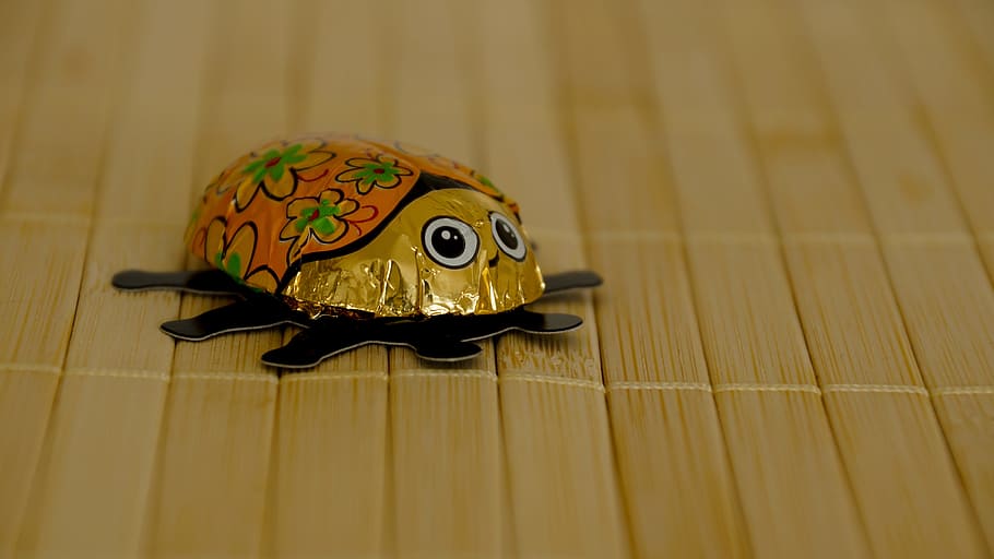 Chocolate, Bug, Insect, Food, Sweet, beetle, orange, tinfoil HD wallpaper