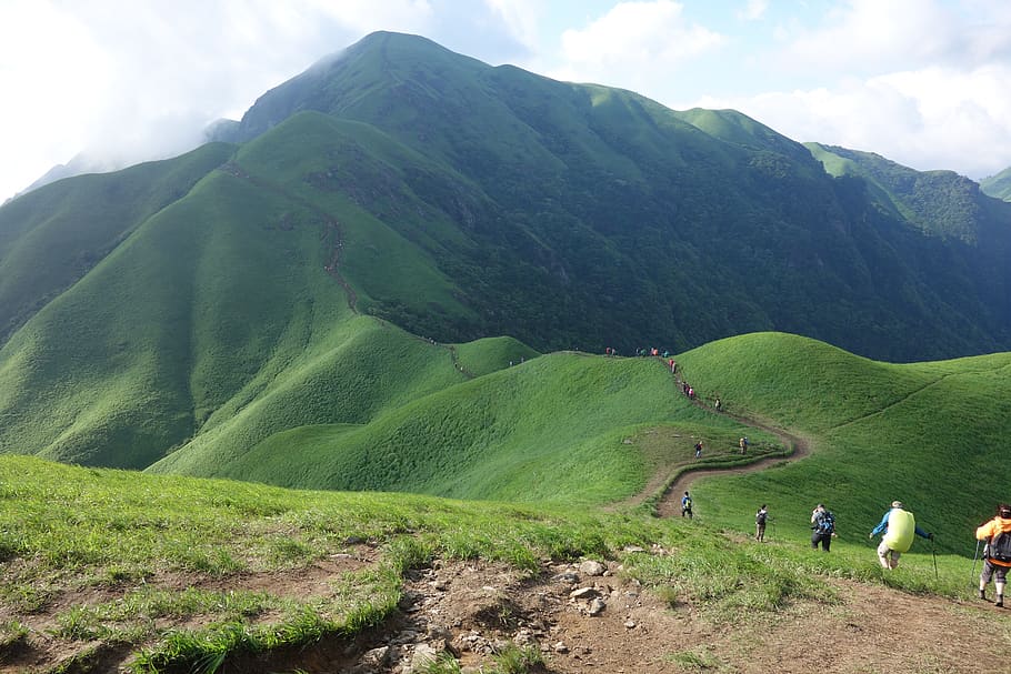 wugongshan, mountains, vegetation, climbing, beauty in nature HD wallpaper