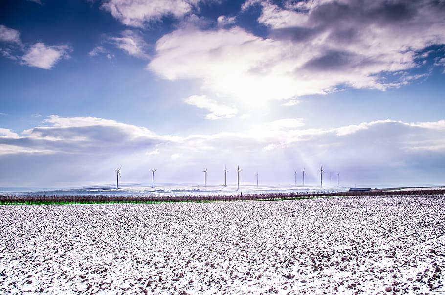 snow, field, winter, white, landscape, outdoor, sky, country HD wallpaper