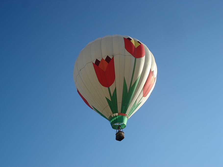 balloon, sky, tulips, hot air balloon, flying, mid-air, clear sky HD wallpaper
