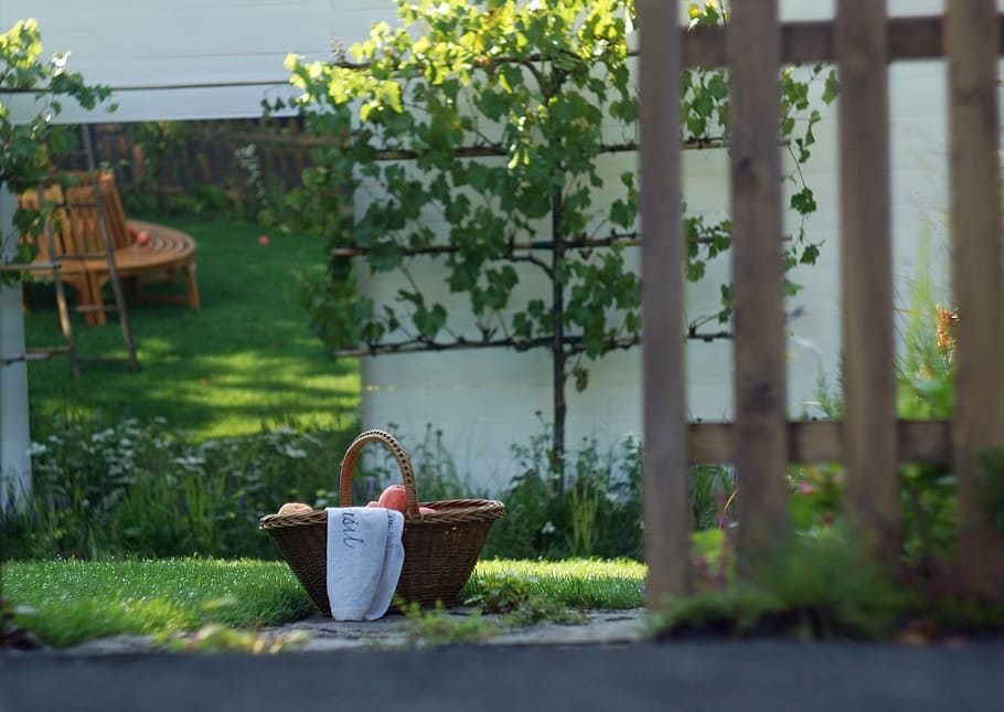 garden, corner, fruit, grass, fence, recreation, tree, plant HD wallpaper