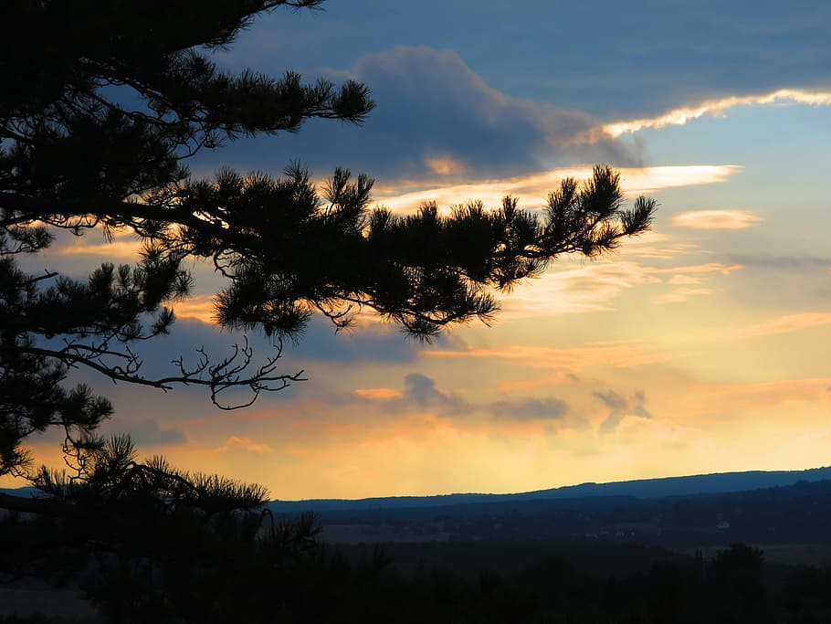 sunset, landscape, cloud, nature, bakony, pine, sky, beauty in nature HD wallpaper