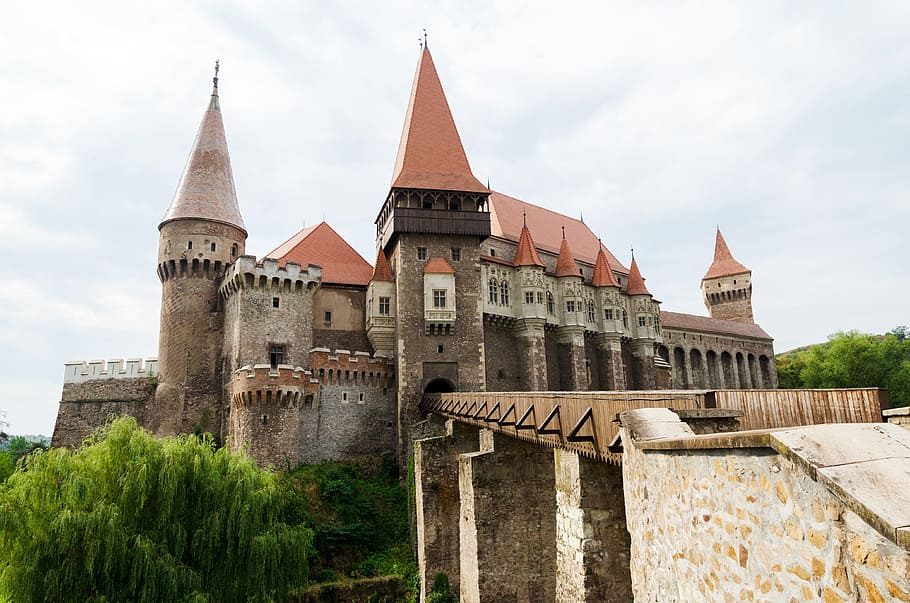 brown and orange castle, medieval, forest, hunedoara, architecture