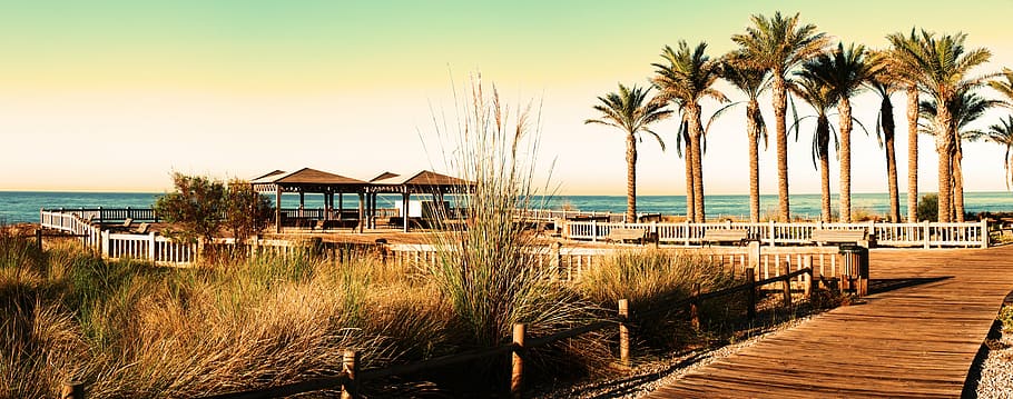 toyo, park, almeria, andalusia, spain, palms, wood, beach, sea, HD wallpaper