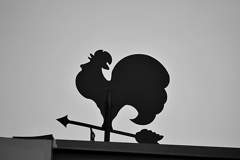 weather vane, cock, wind, sky, wrought iron, wind indicator HD wallpaper