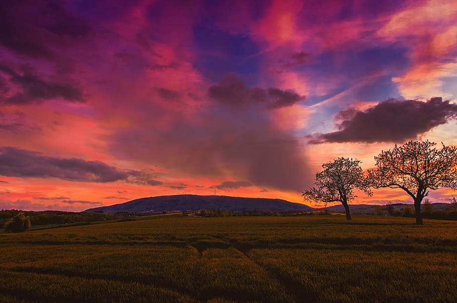 grass field and trees near mountain, landscape, photography HD wallpaper