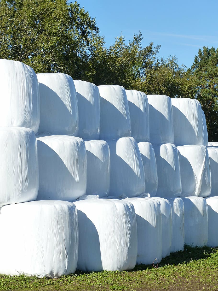 hay bales, plastic, white, grass, agricultural, tree, sky, himmel HD wallpaper