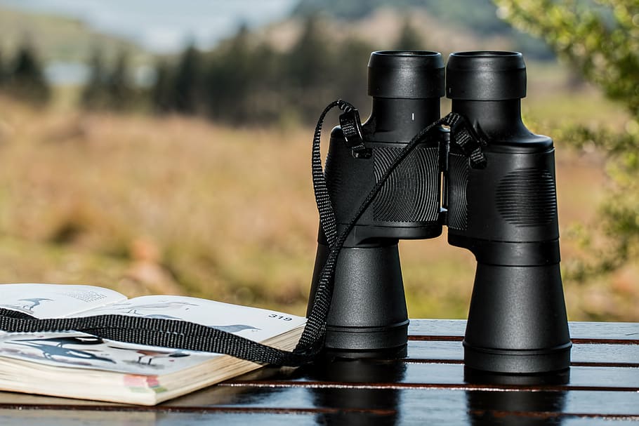 shallow focus photography of black binoculars, birdwatching, spy glass