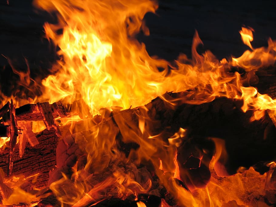 close-up photography of bonfire, afire, alight, ashes, barbecue HD wallpaper