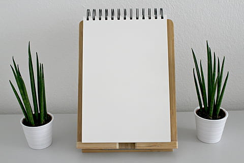 white spiral notebook with stand beside two linear leaf plants HD wallpaper