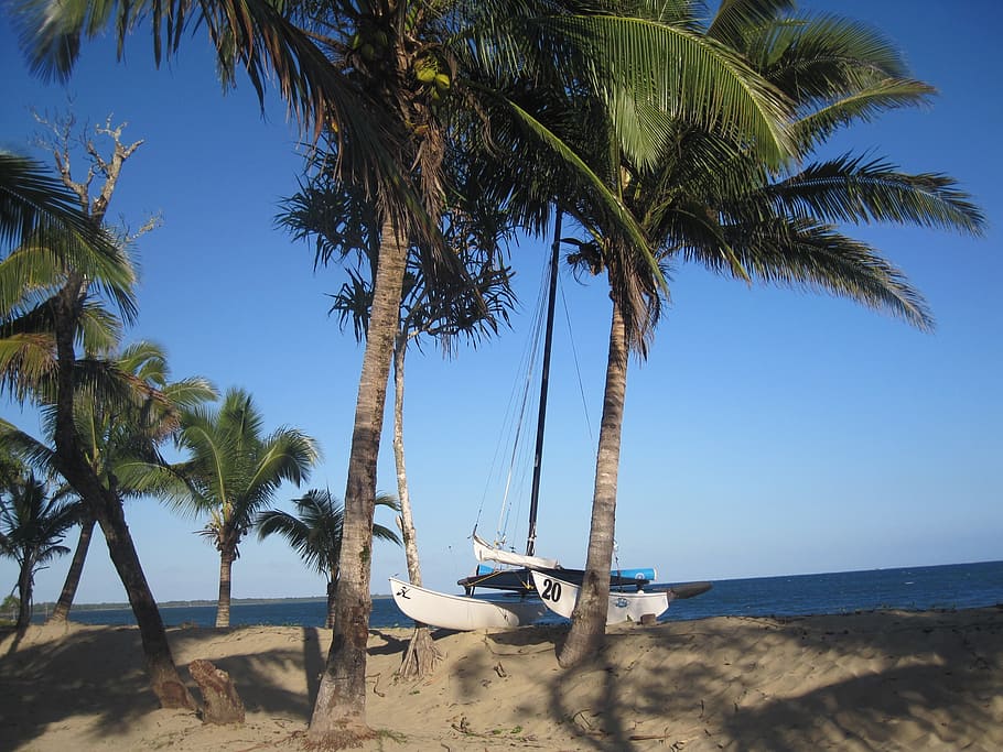 HD wallpaper: beach, fiji, sea, ocean, sand, holiday, palm trees ...