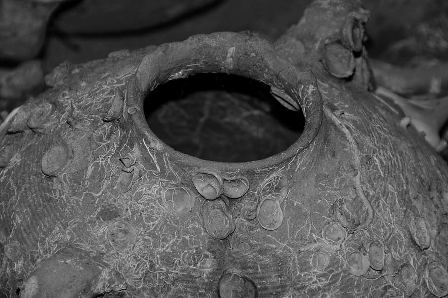 amphora, old, historically, mediterranean, relic, archaeology HD wallpaper