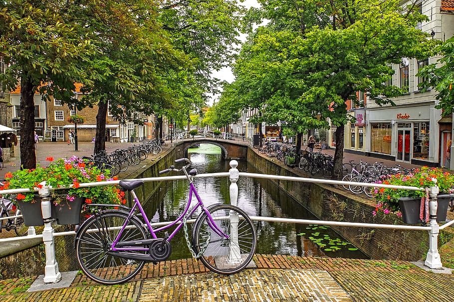 purple bicycle parked on bridge with white metal handrail at daytime, HD wallpaper