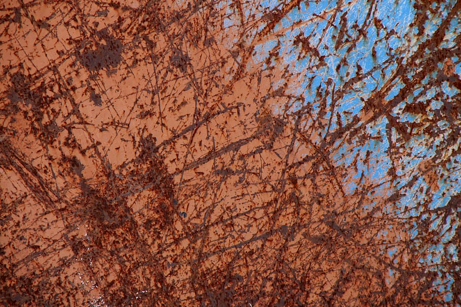 abstract, model, tree, old, lake dusia, texture, rust, blue HD wallpaper