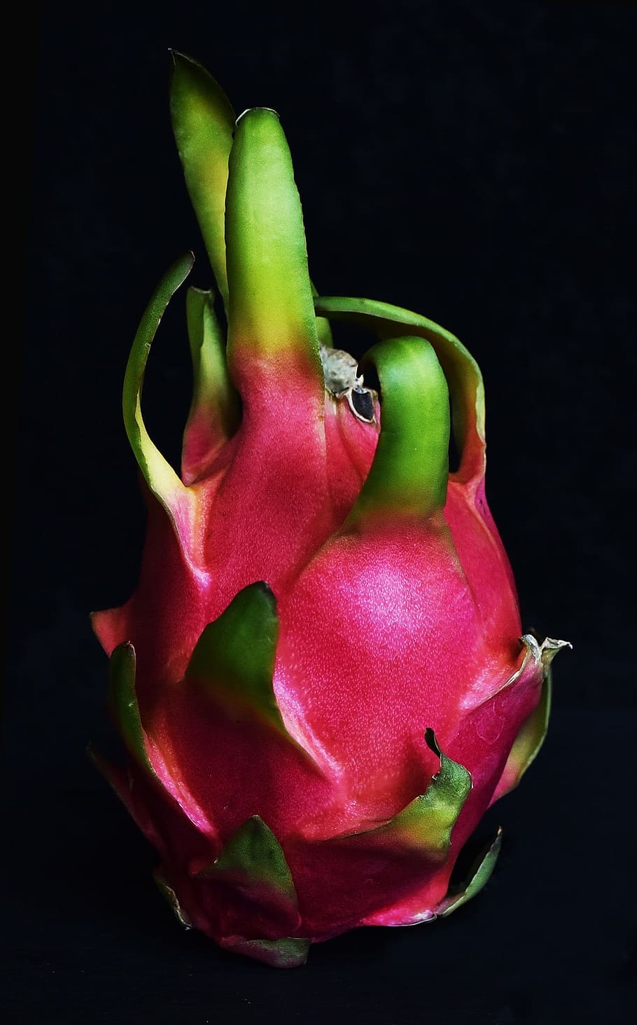 Dragonfruit 1080P 2K 4K 5K HD wallpapers free download  Wallpaper Flare