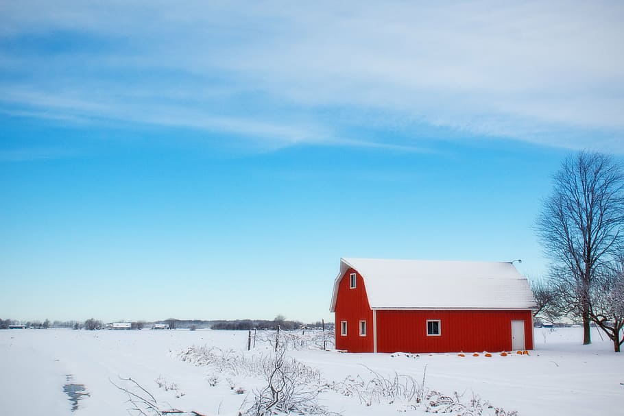 landscape photograph of red barn house during winter, winter barn