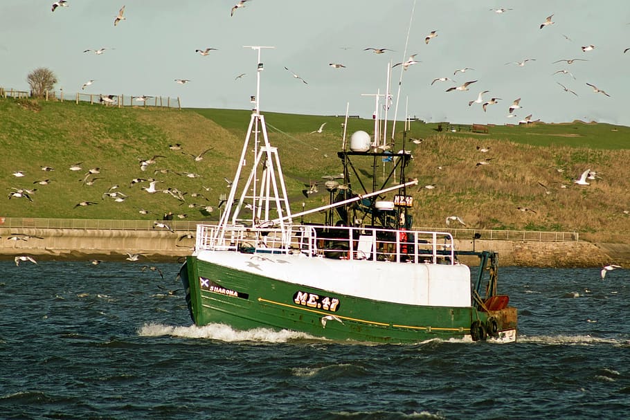 trawlers, fishing, tynemouth, water, nautical vessel, transportation, HD wallpaper