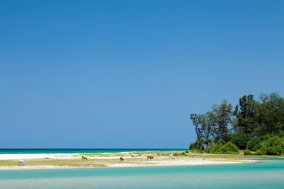 beach, idyllic, landscape, nature, ocean, outdoors, sand, sea HD wallpaper