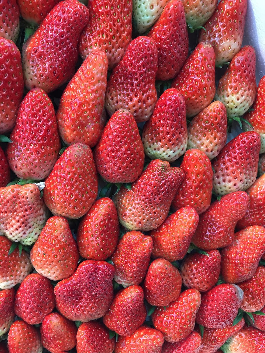 strawberries, red, fresh, healthy, sweet, ripe, tasty, juicy HD wallpaper