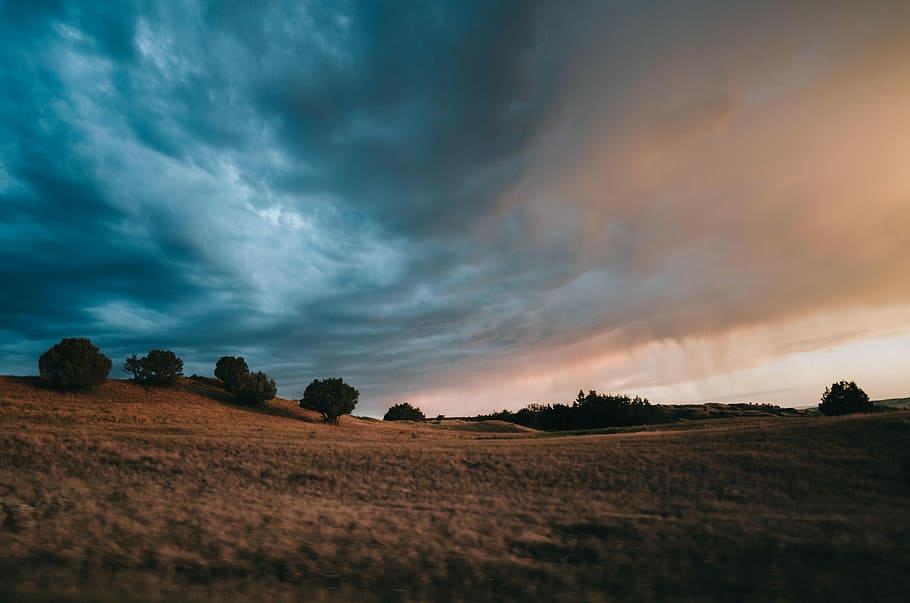 dirt field under cloudy sky during daytime, trees under cloudy sky HD wallpaper