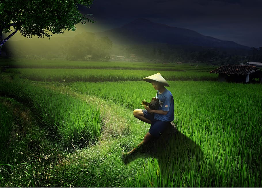 nature, grass, tree, green, plant, field, one person, land HD wallpaper