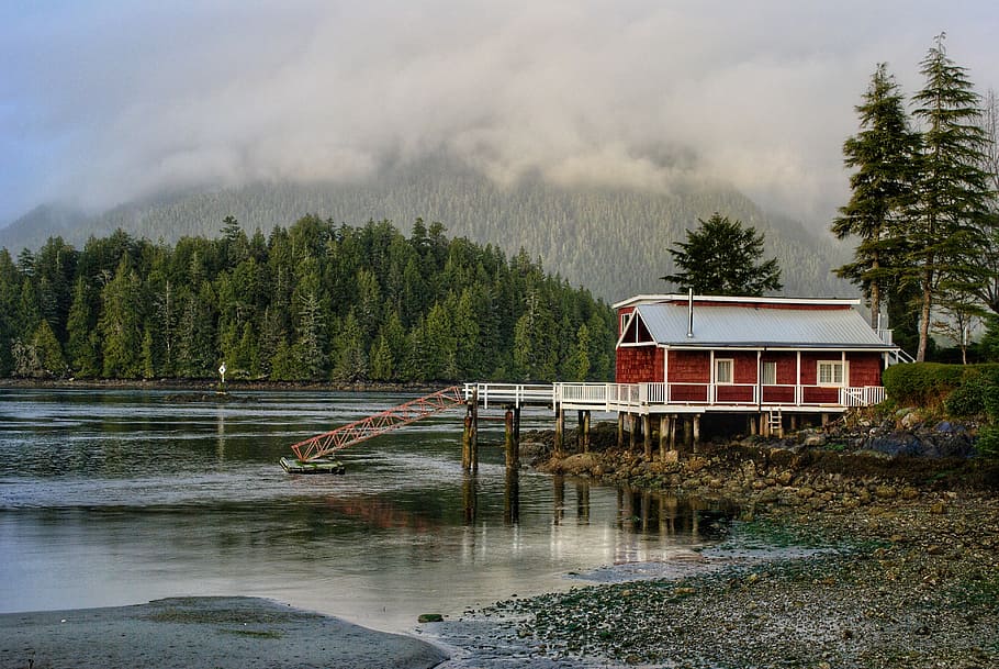 red wooden house near calm water beside green trees, forest HD wallpaper