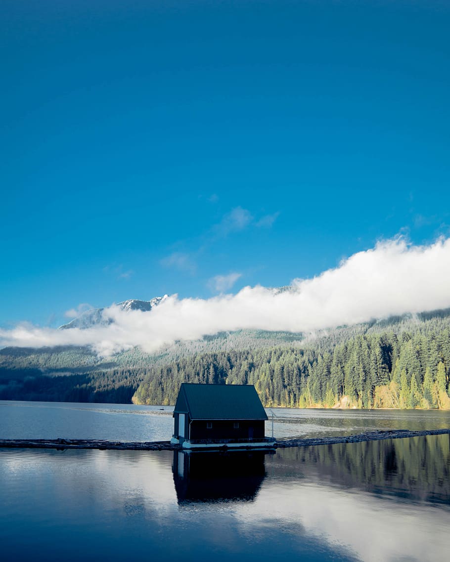 black house in a middle of body of water in a distance of forest tree, brown and gray boat house under blue sky HD wallpaper