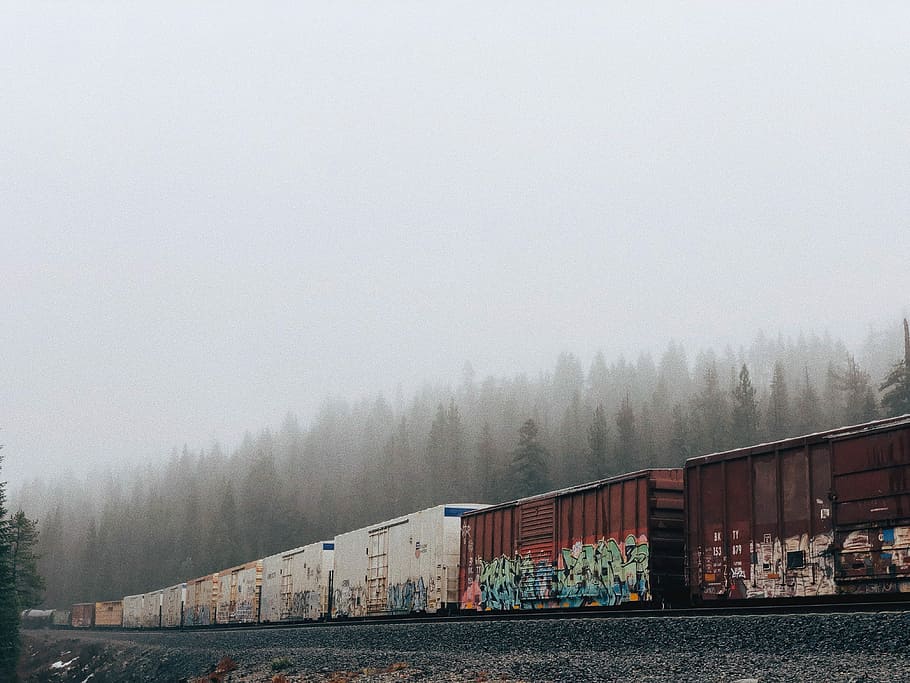 red train, white and brown houses near foggy mountain, mist, cloud HD wallpaper