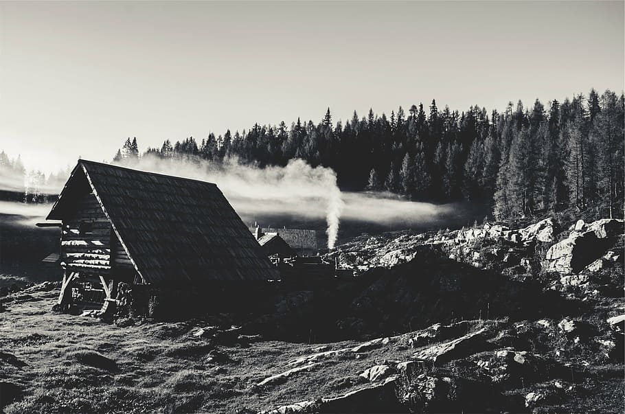 grayscale photo of house near trees under sky, beisde, rural HD wallpaper