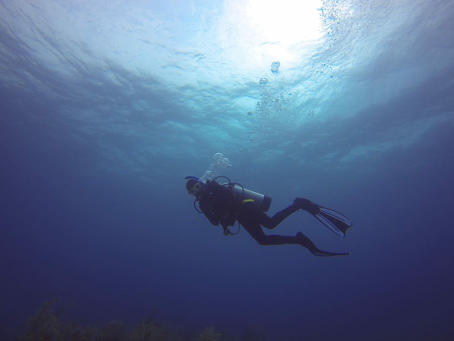 Dive, Pic, ryan, underwater, undersea, scuba diving, no people HD wallpaper